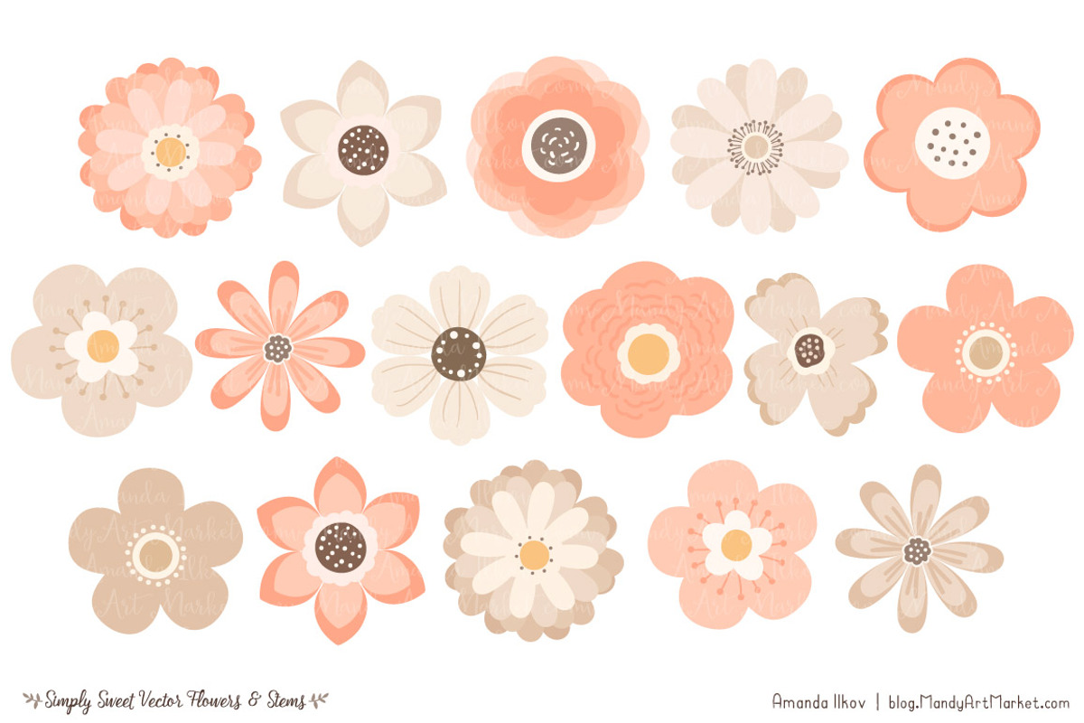 Peach Floral Clipart, an Illustration by Amanda Ilkov (Photo 3 of 4)