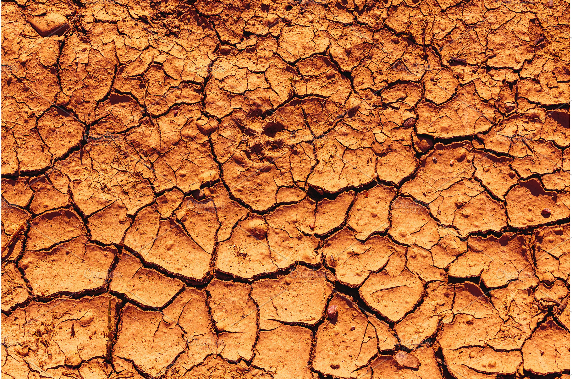 Cracked Earth. An arid landscape, a Background Photo by Lukas Jonaitis SHOP