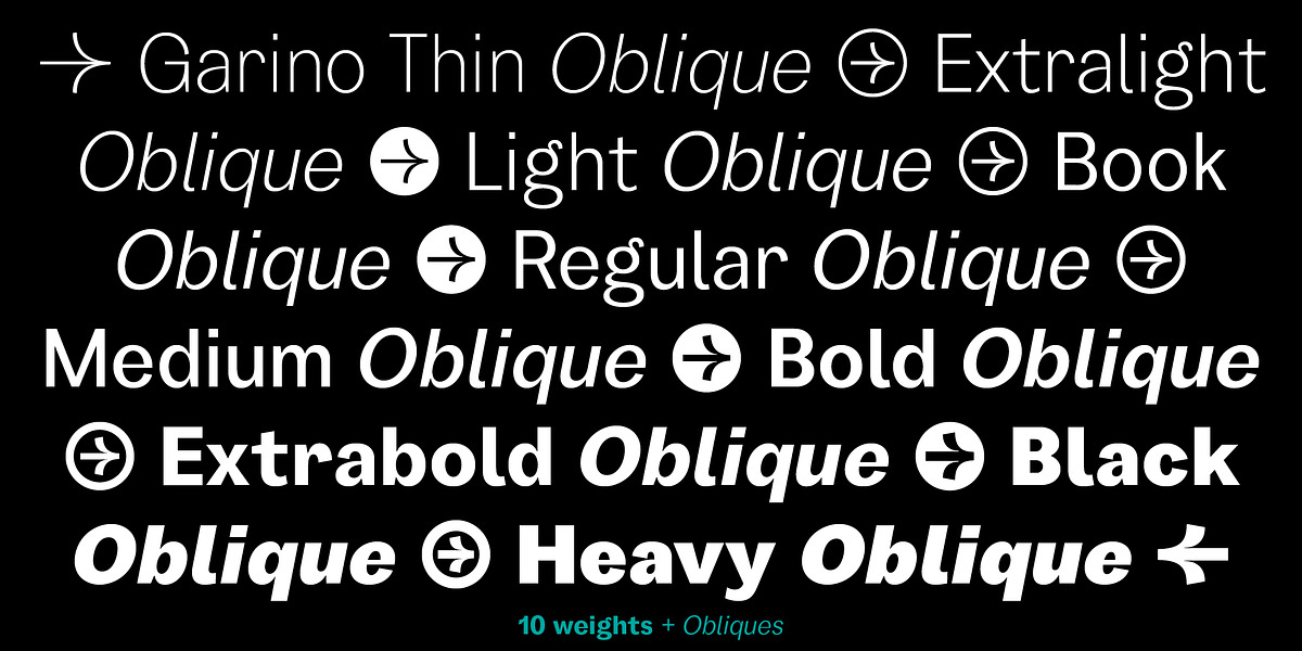 Garino, a Sans Serif Font by Julien Fincker (Photo 2 of 15)