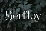 Dealva | Serif Font, a Serif Font by Ermedia Studio (Thumbnail 9 of 12)