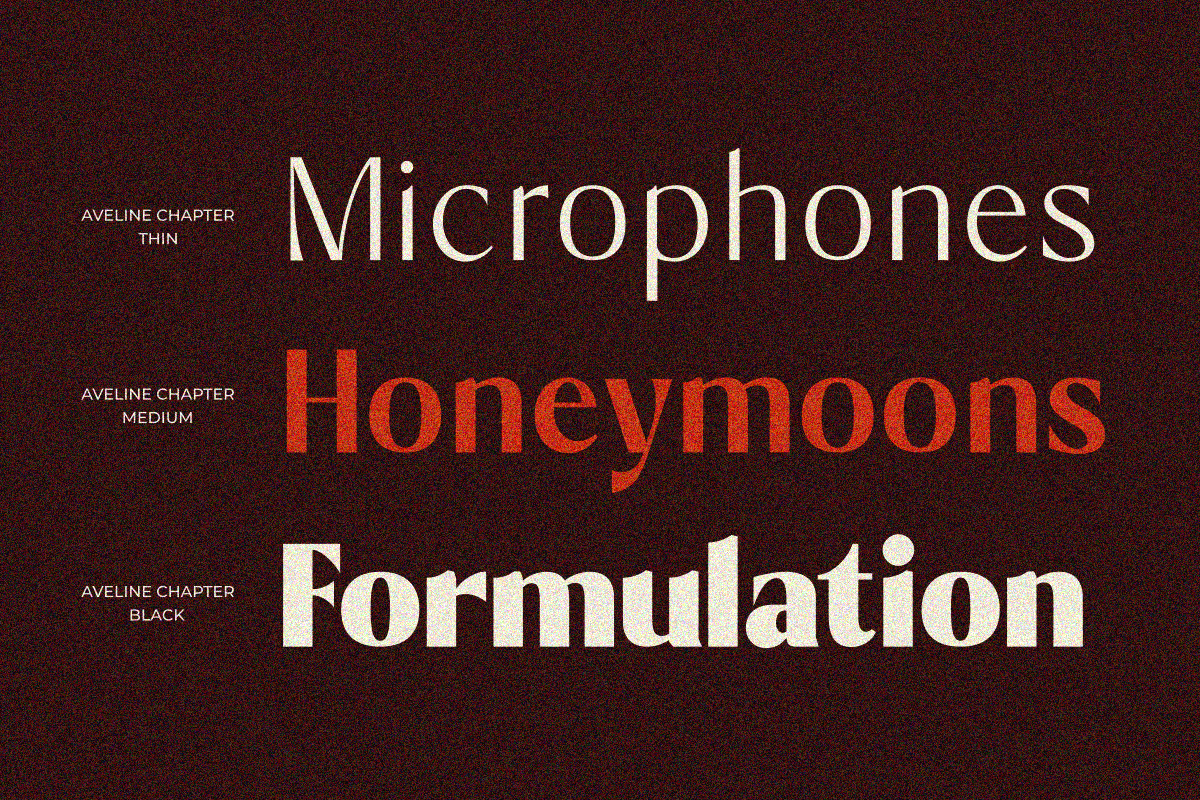 Aveline Chapter, a Sans Serif Font by Zafiratype (Photo 14 of 15)