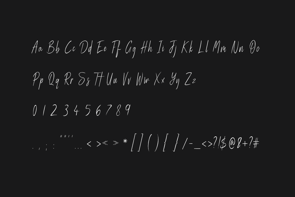 Magnetta - Handwritten Luxury Font preview 7