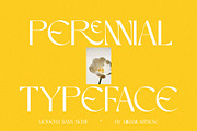Perennial - Elegant & Ligature Sans, a Sans Serif Font by Mikhail Kitsune (Thumbnail 1 of 9)