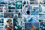 160 Arctic and Antarctic images, a Nature Photo by Handmadefont (Thumbnail 6 of 13)