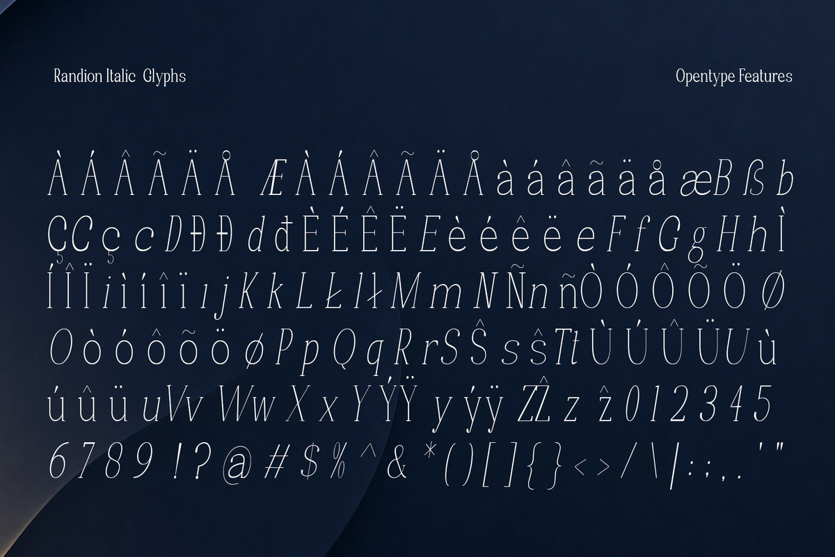 Randion, a Serif Font by StudioRhd (Photo 14 of 14)