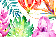 Watercolor Tropical Collection, an Illustration by Corner Croft (Thumbnail 4 of 6)