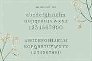 Winslow Book Hairline, a Serif Font by Kimmy Design (Thumbnail 7 of 8)