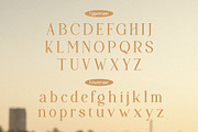 Papolina | Modern Serif Font, a Serif Font by Denustudios (Thumbnail 10 of 13)