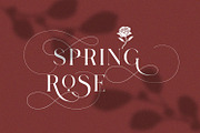 Lostgun Plus | Stylish Typeface, a Serif Font by Qaratype (Thumbnail 5 of 20)