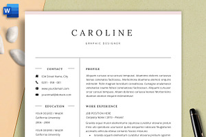 Professional Resume CV Template DOCX