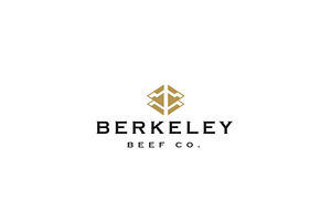B Letter Logo design