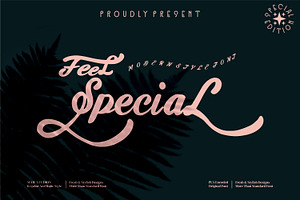 Feel special - Script style font, a Handwritten Font by mahstudios