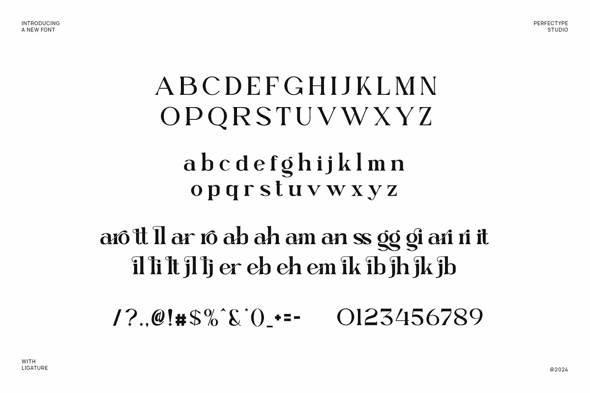 Mettaro Elegant Ligature Serif Font, a Serif Font by Perfectype (Photo 6 of 6)