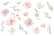 Blush Pink Watercolor Flowers PNG, an Illustration by GraphicsDish (Thumbnail 2 of 4)