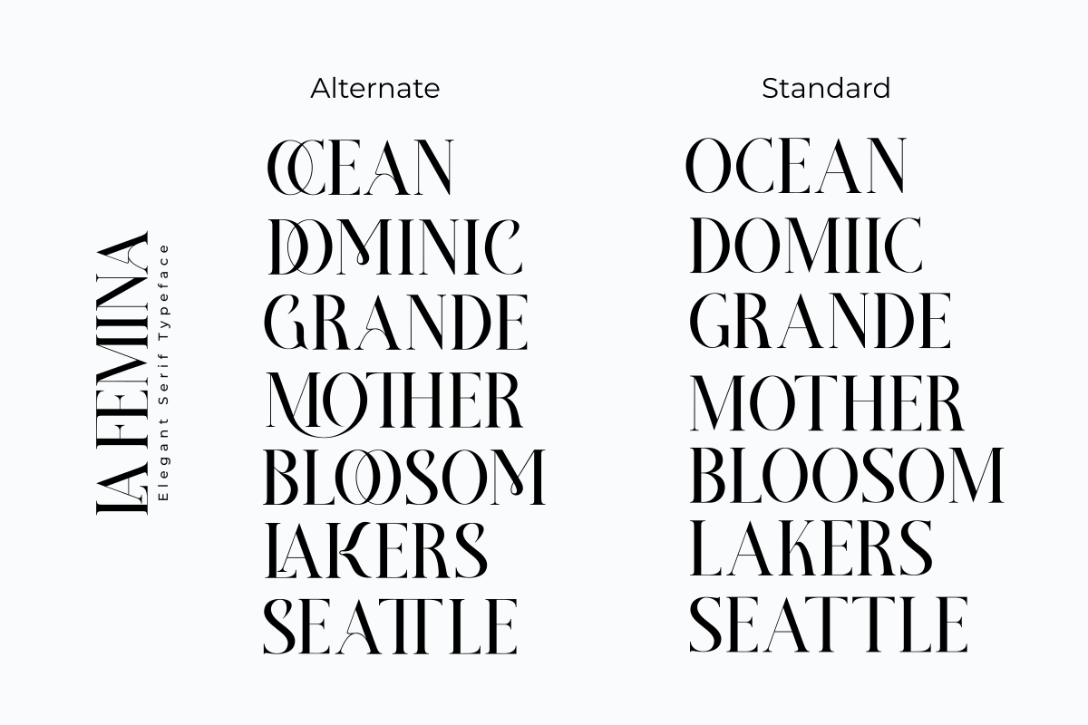 La Femina, a Serif Font by saemoon creative (Photo 5 of 6)