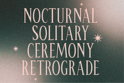 Salem - A Sharp Condensed Serif, a Serif Font by Like Magic Studio (Thumbnail 2 of 8)