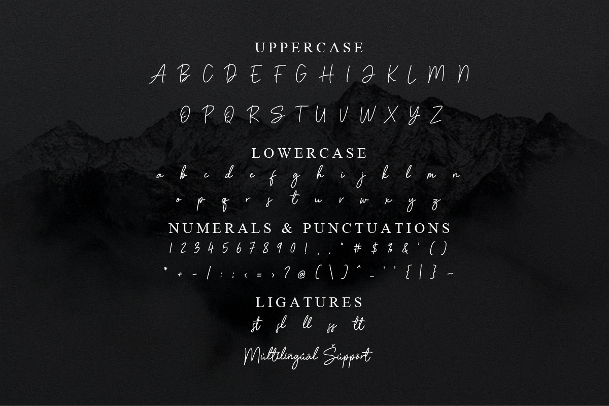 Amstone Stylish Font, a Script Font by Multype Studio (Photo 6 of 7)
