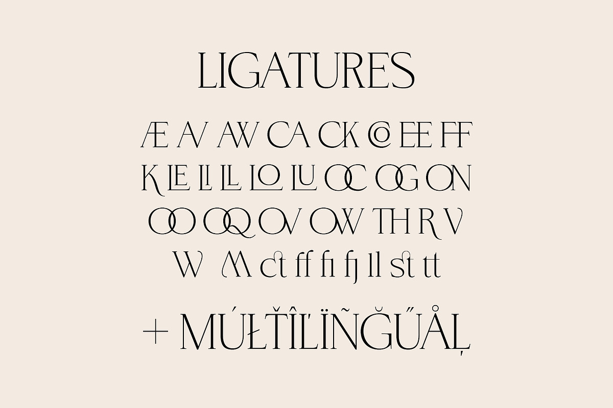 BrandNew Delicate Playful Serif, a Serif Font by BilberryCreates (Photo 5 of 10)