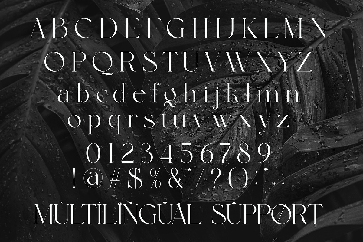 Garline Elegant Ligature Serif, a Serif Font by Alfinart (Photo 8 of 9)