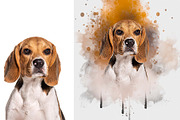 Portrait Watercolor Dropping Action, an Action Add-On by Photoshop Action (Thumbnail 3 of 7)