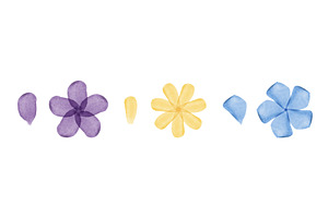 Watercolor flowers and petals in, an Object Illustration by okskukuruza