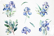 Watercolor iris PNG overlays, an Object Graphic by PixelJungle (Thumbnail 3 of 3)
