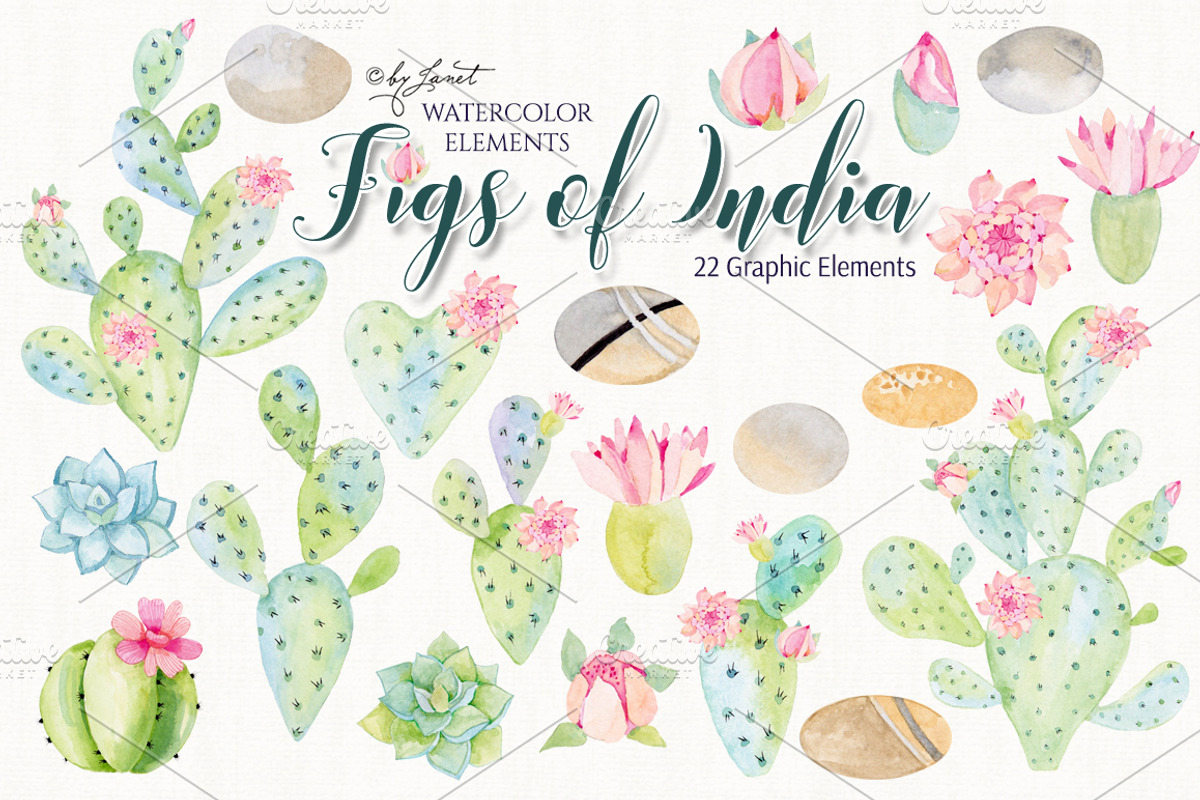 Figs of India Watercolor, an Illustration by helloPAPER (Photo 2 of 2)