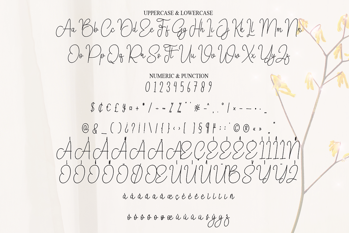 Yesterday | Script Font, a Handwritten Font by Scratchones (Photo 7 of 9)