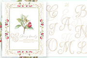 Vintage Cherry Crest Watercolor Set, a Decorative Illustration by WonderWonder (Thumbnail 2 of 21)