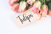 Someday | Script Font, a Handwritten Font by Scratchones (Thumbnail 5 of 9)