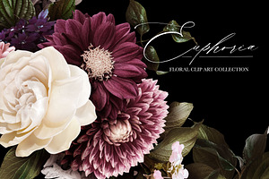 Euphoria Floral Clip Art & Patterns