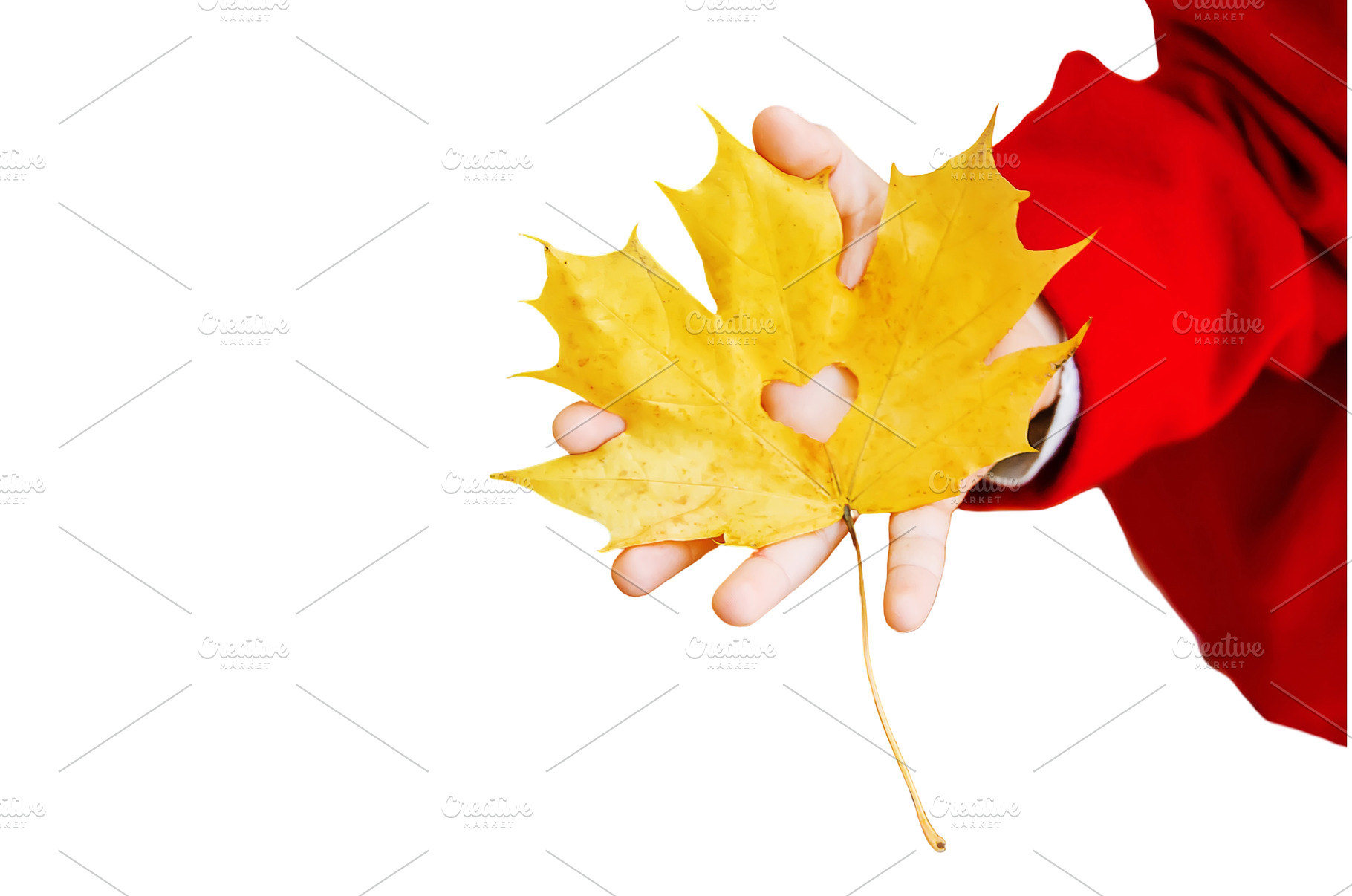 beautiful autumn leaves. Golden, a Person Photo by yanadjana