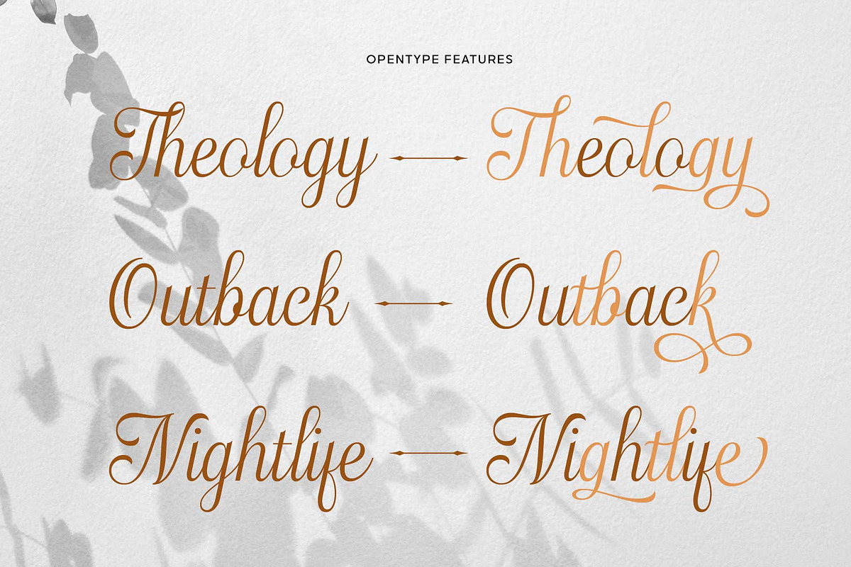 Haydenta - Calligraphic Script, a Script Font by Novitype (Photo 9 of 12)