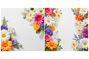 Floral frame Nature flower, a Background Graphic by IrySha (Thumbnail 6 of 7)