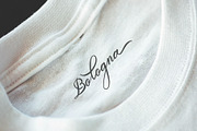 Belgian Signature, a Script Font by Andika Fez (Thumbnail 10 of 19)