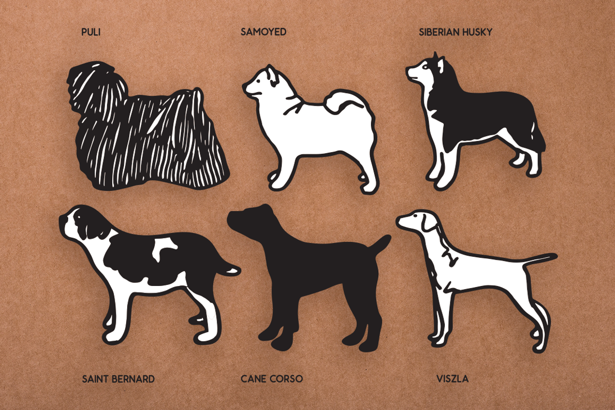 Vintage Dog Doodles Mega Bundle, an Illustration by duka (Photo 6 of 19)