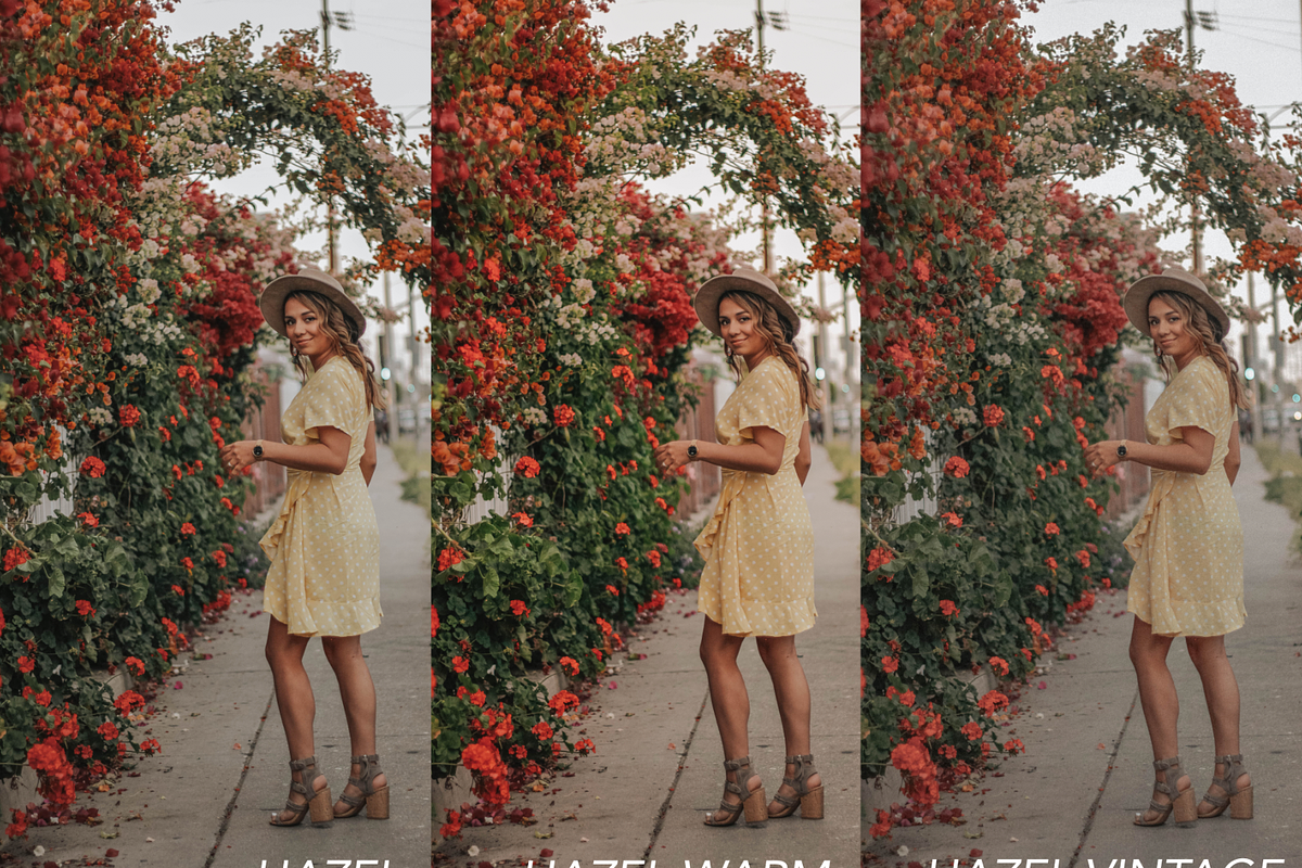 Hazel Preset pack | Blogger presets preview 2