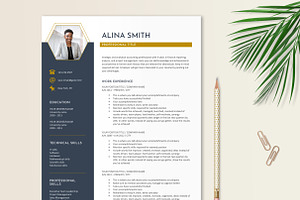 Resume Template Navy Gold