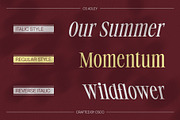 CS Adley – Elegant Font, a Serif Font by Craft Supply Co. (Thumbnail 2 of 8)
