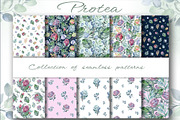 PROTEA watercolor flowers clipart, an Illustration by LenArt (Thumbnail 10 of 16)