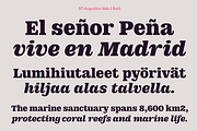 DT Augustina Slab 2 Subfamily, a Slab Serif Font by Deveze Type Foundry (Thumbnail 13 of 30)