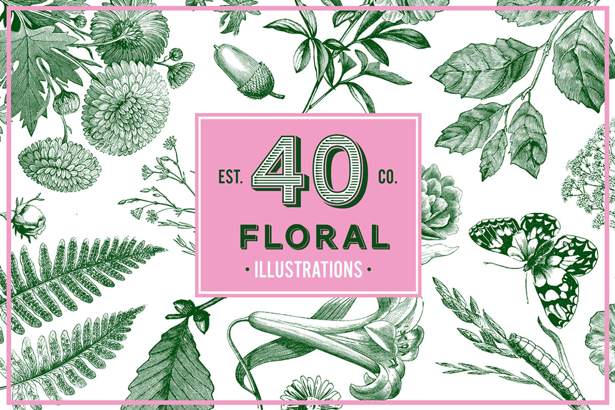Floral Vintage Vector Illustrations, an Education Illustration by hypegraphic (Photo 1 of 4)