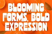 Halibus - Bold Logo Display Font, a Sans Serif Font by Pekotype (Thumbnail 2 of 15)