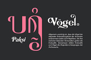 Boxes, a Serif Font by Naksatra (Thumbnail 5 of 14)