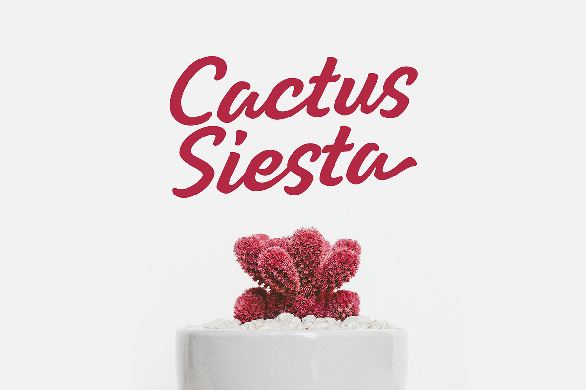 Giseda - Handwriting Display, a Script Font by Aantebas (Photo 4 of 5)