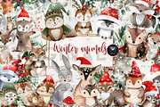 Winter Animals Clipart, an Illustration by BigCakeBee (Thumbnail 1 of 4)