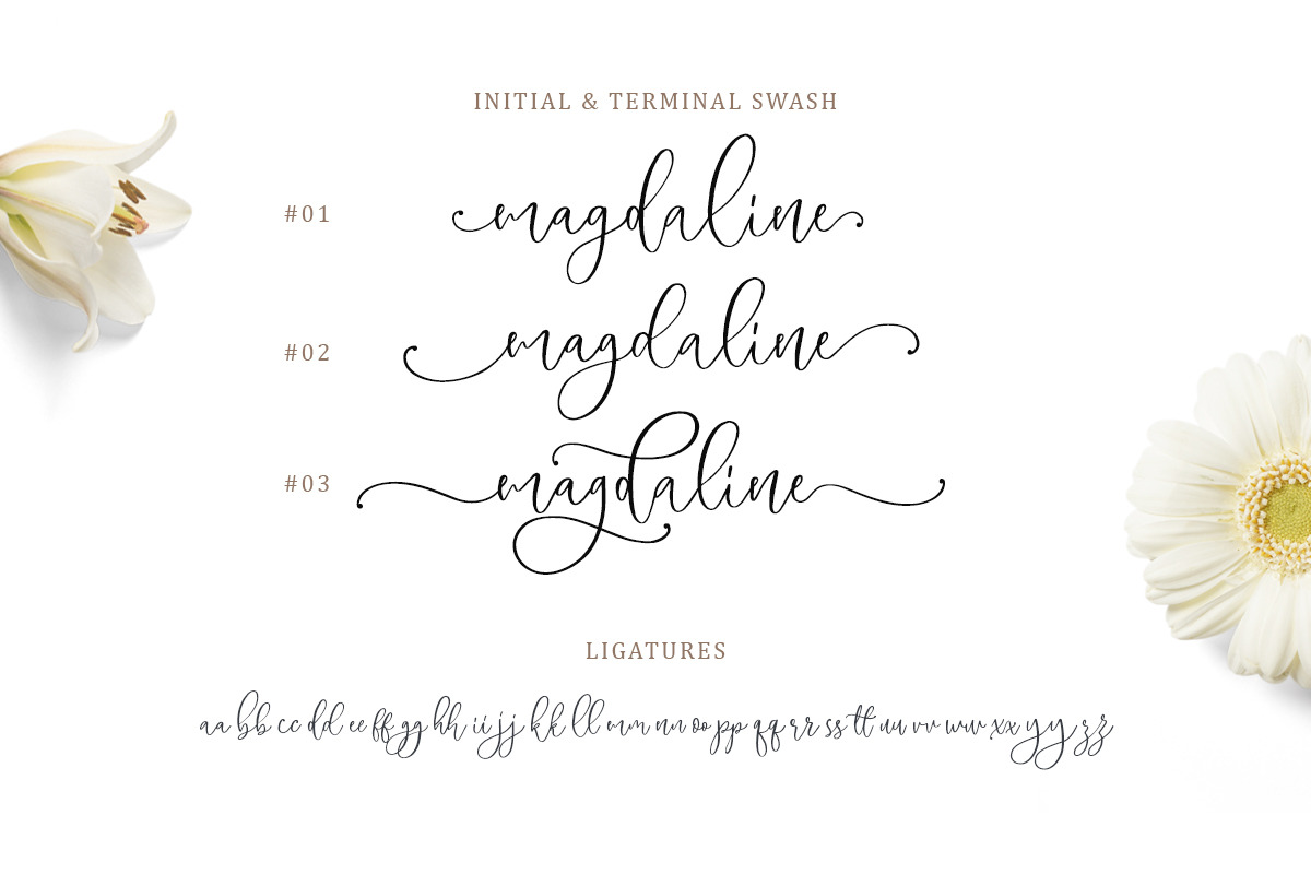 Magdaline - Lovely Script preview 5