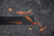 Kasane - Japanese Paper Overlays, a Texture Graphic by alonahaidash (Thumbnail 2 of 22)