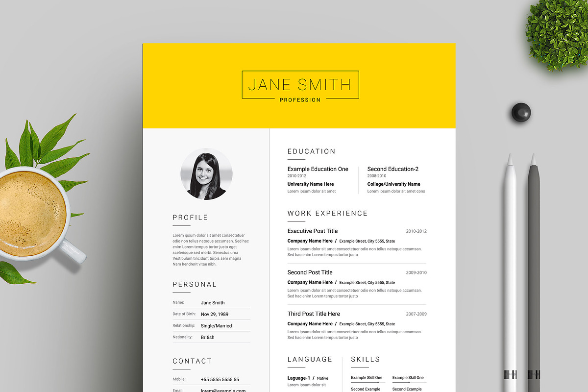 Clean Resume / CV