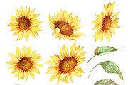 Watercolor Sunflowers Bouquets, an Object Illustration by ArtbyHien (Thumbnail 5 of 5)